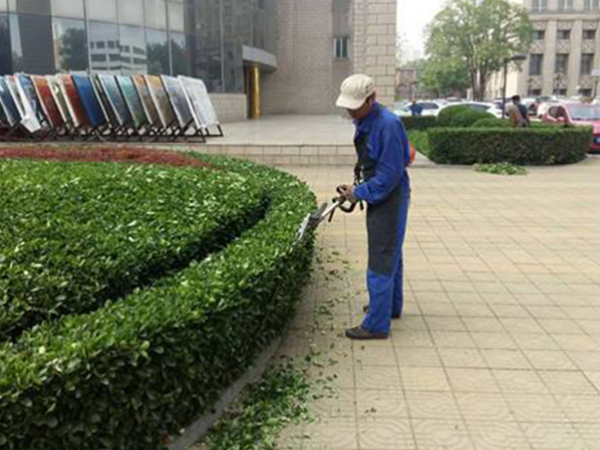 綠化保養(yǎng)